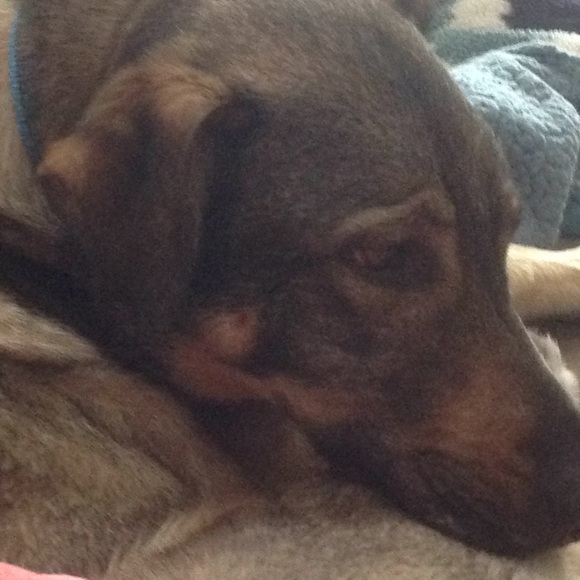 Meet your Posher, Christine - Picture 1 of 1